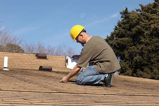 Professional  Roofing repair and installation in Dassel, MN