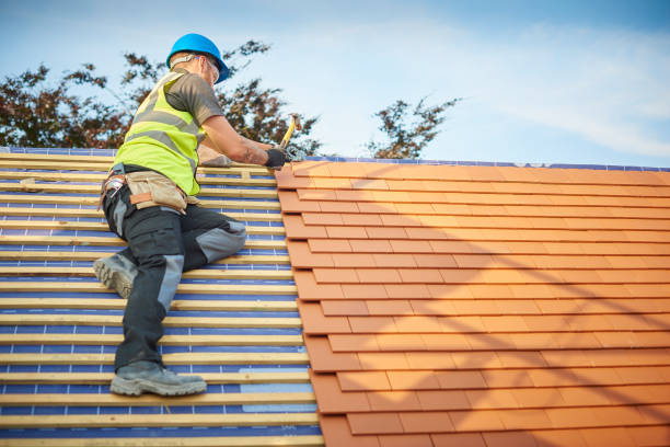 Best Roof Coating and Sealing  in Dassel, MN